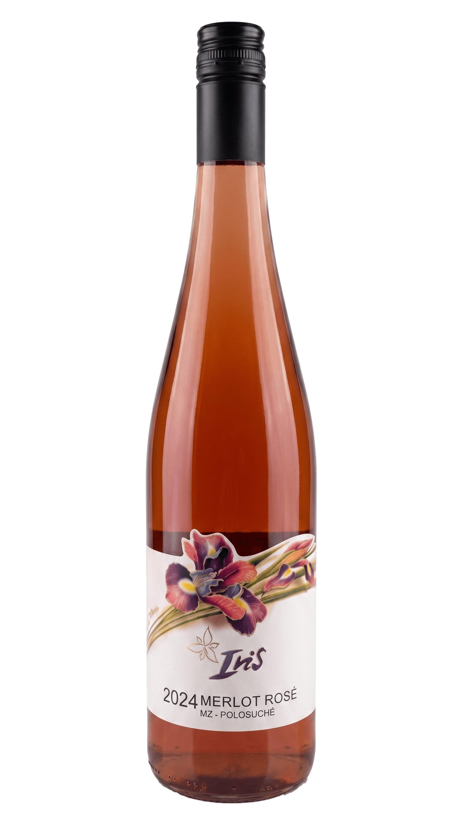 Merlot rosé 2024 polosuché